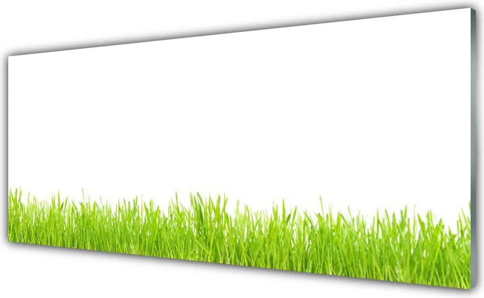 Szkło Ozdobne do Kuchni Soczysty Naturalny Trawnik