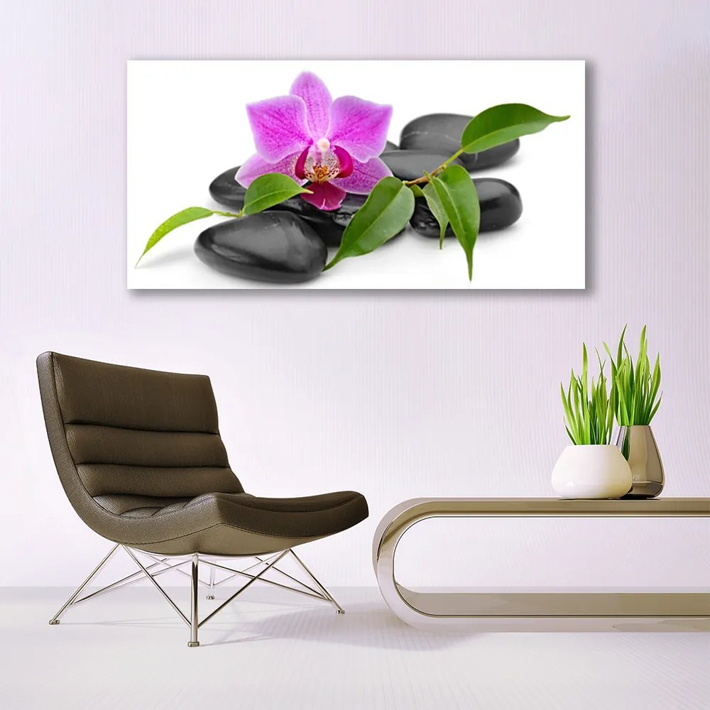 Obraz canvas Orchidea w Nowoczesnym Wydaniu
