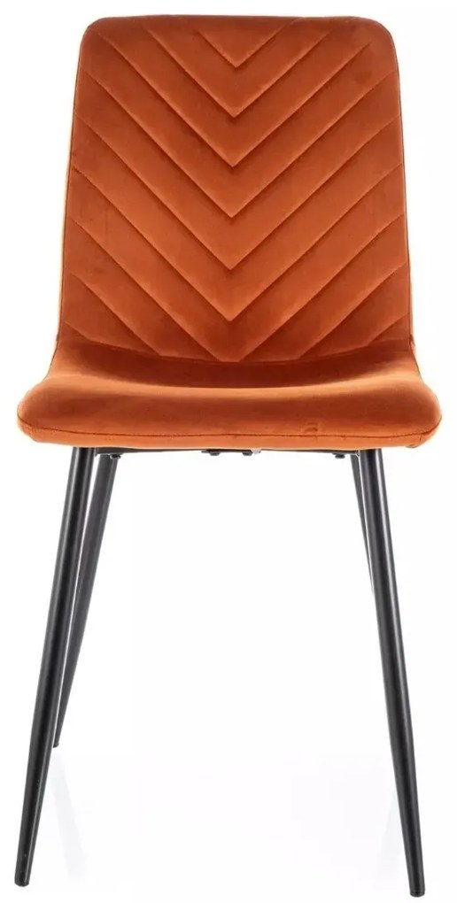 KRZESŁO DAREN VELVET CZARNY STELAŻ/ CYNAMON BLUVEL 4215 SIGNAL