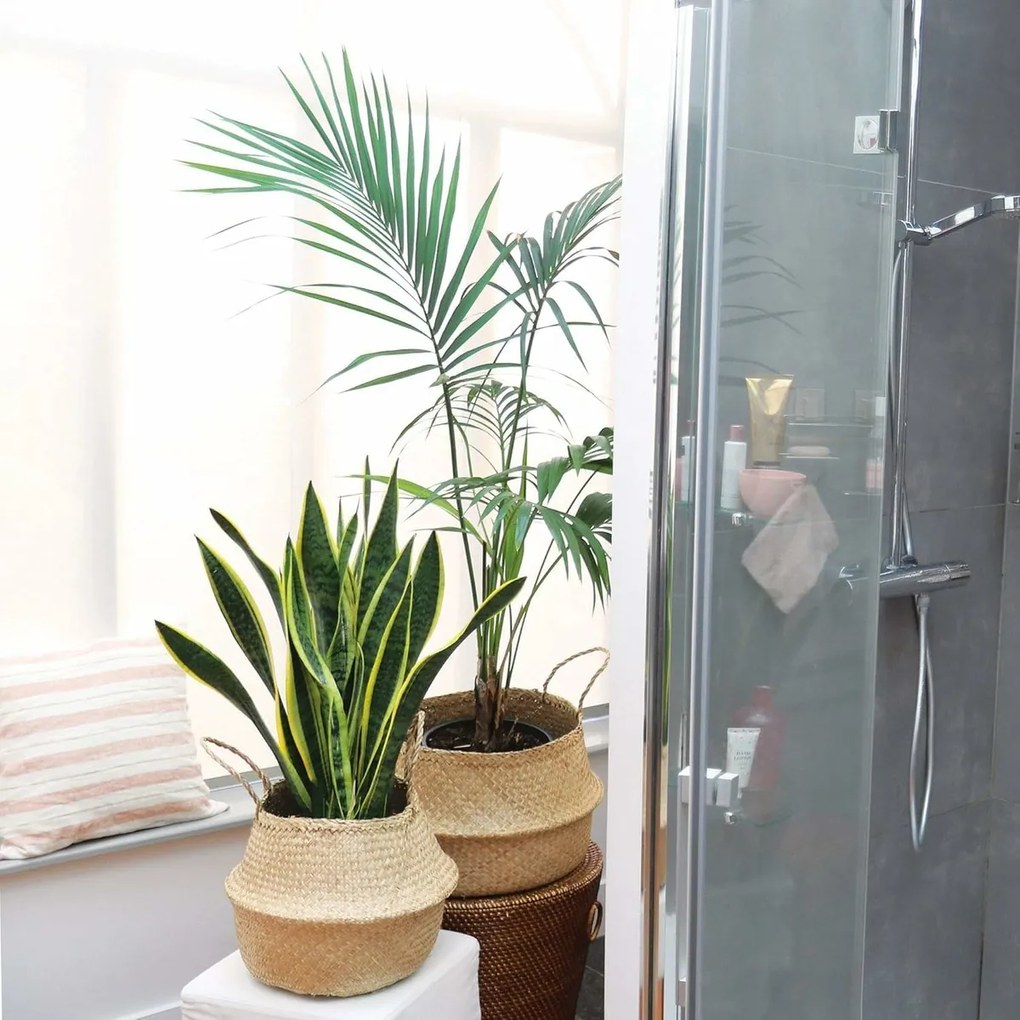 Compactor Koszyk do przechowywania z trawy morskiej Belly, 35 x 32 cm, naturalny, M