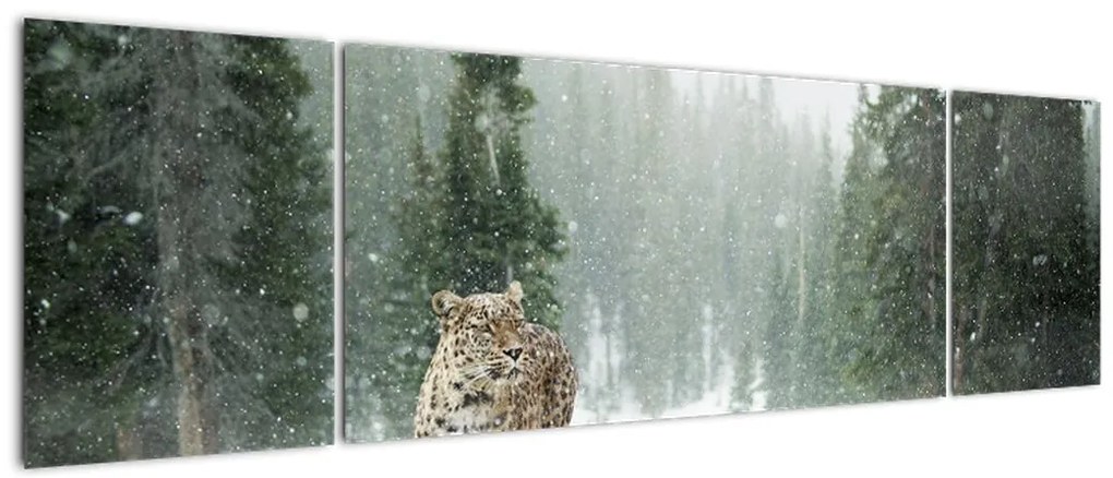 Obraz lamparta na śniegu (170x50 cm)