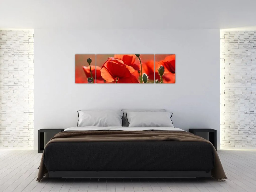 Obraz maków (170x50 cm)