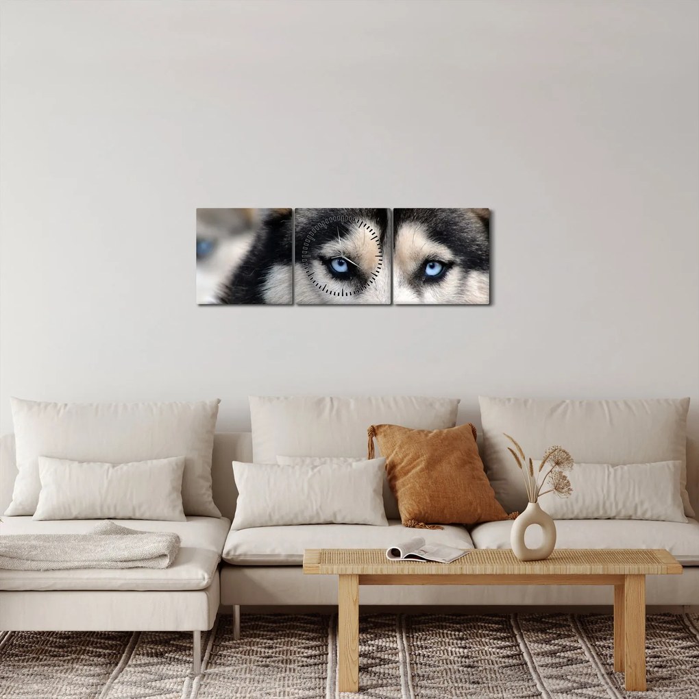 Obraz psa husky (z zegarem) (90x30 cm)