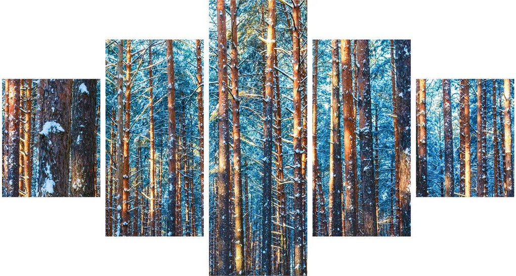Obraz - Zimowy las (125x70 cm)