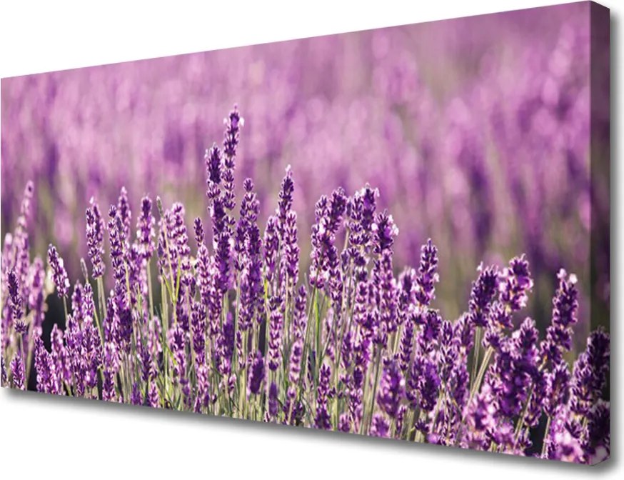 Obraz drukowany na płótnie Romantyczna Natura w Kwiatach