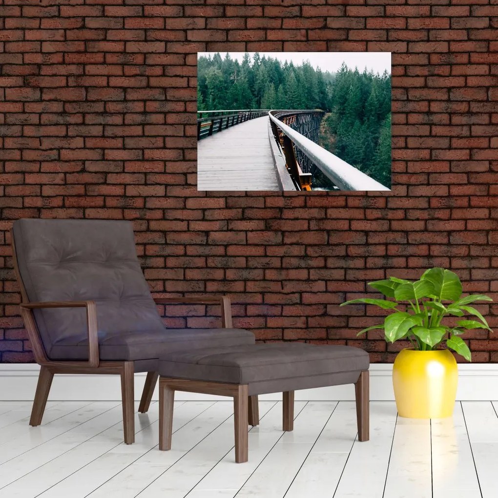 Obraz - Most do wierzchołków drzew (70x50 cm)