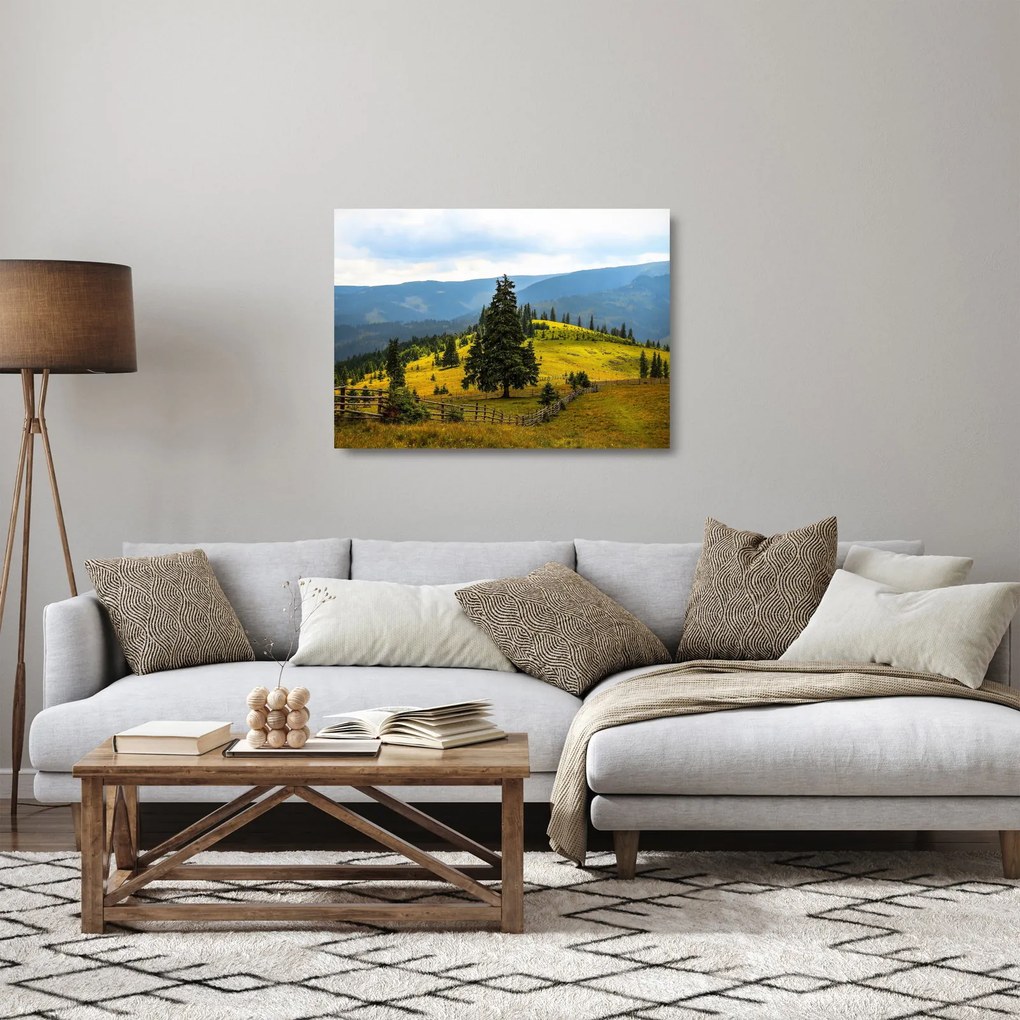 Obraz na szkle - Górska łąka (70x50 cm)