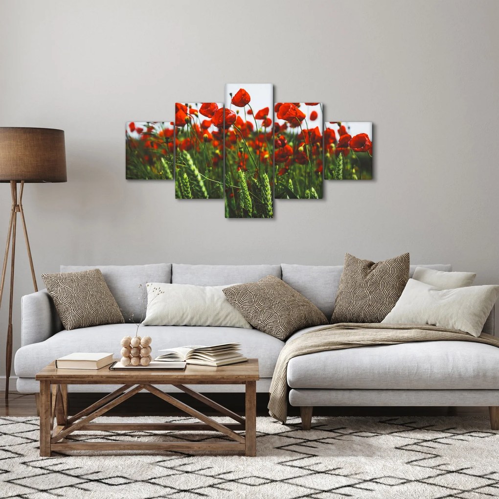 Obraz maków na wietrze (125x70 cm)