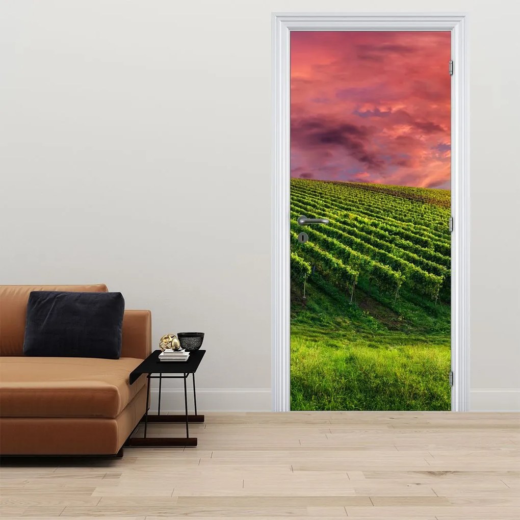 Fototapeta na drzwi - Winnica z kolorowym niebem (95x205cm)
