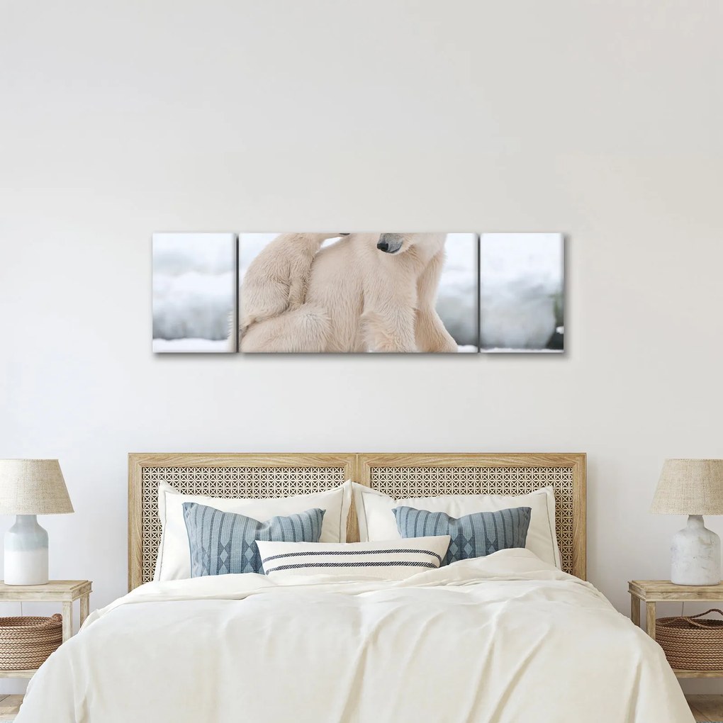 Obraz - Niedźwiedzie polarne (170x50 cm)