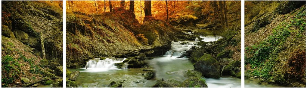 Obraz - Las (170x50 cm)