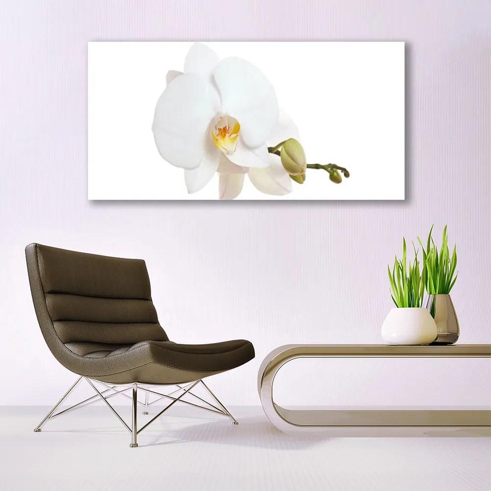 Obraz canvas Subtelny Akcent Botaniczny