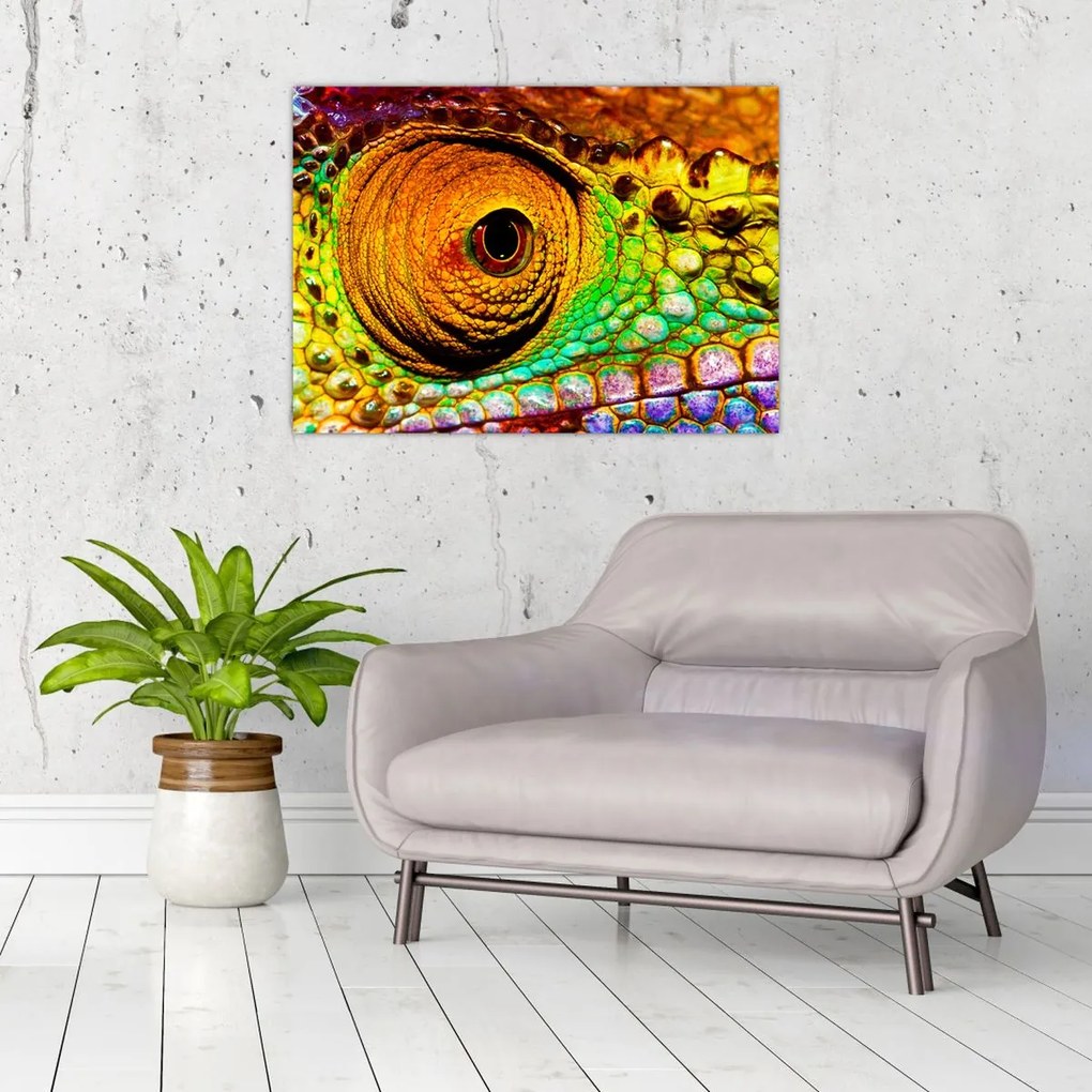 Obraz - Kameleon (70x50 cm)
