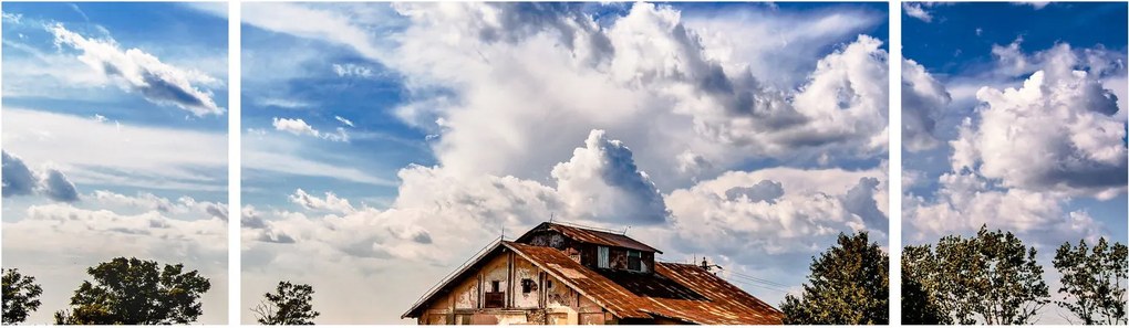 Obraz pola słoneczników (170x50 cm)