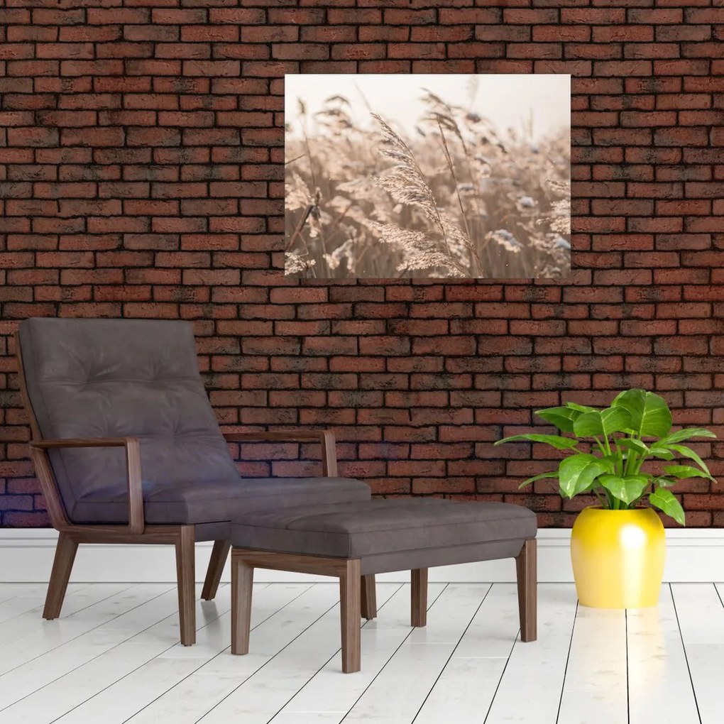 Obraz - Łąkowy wianek (70x50 cm)