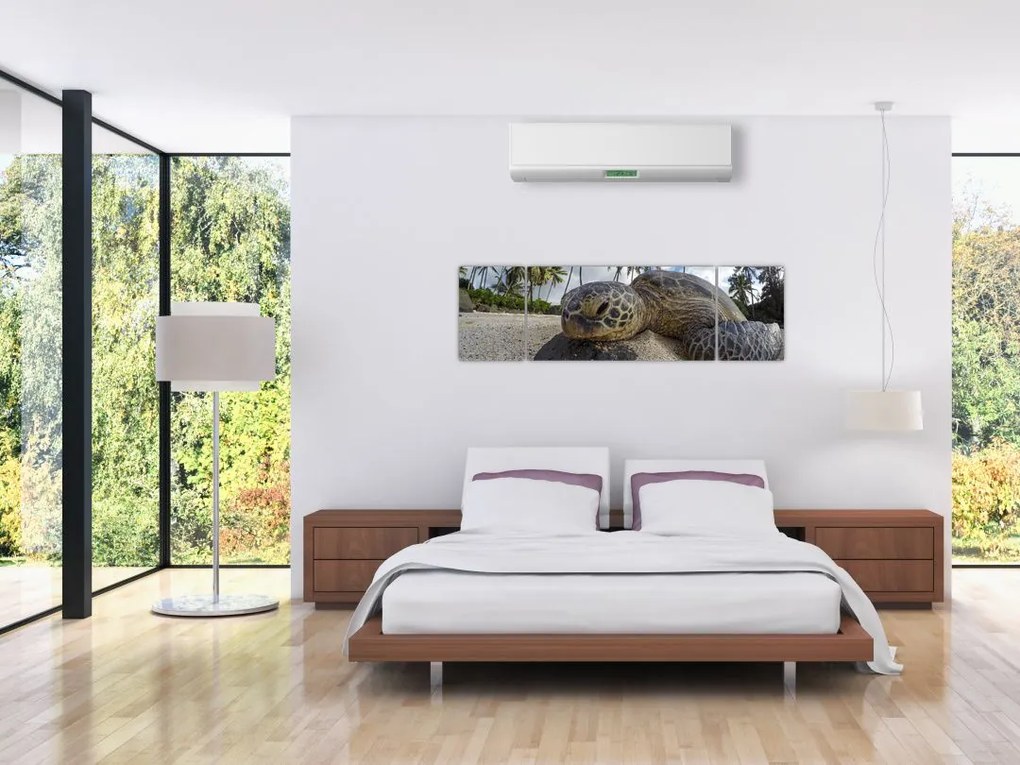Obraz żółwia (170x50 cm)