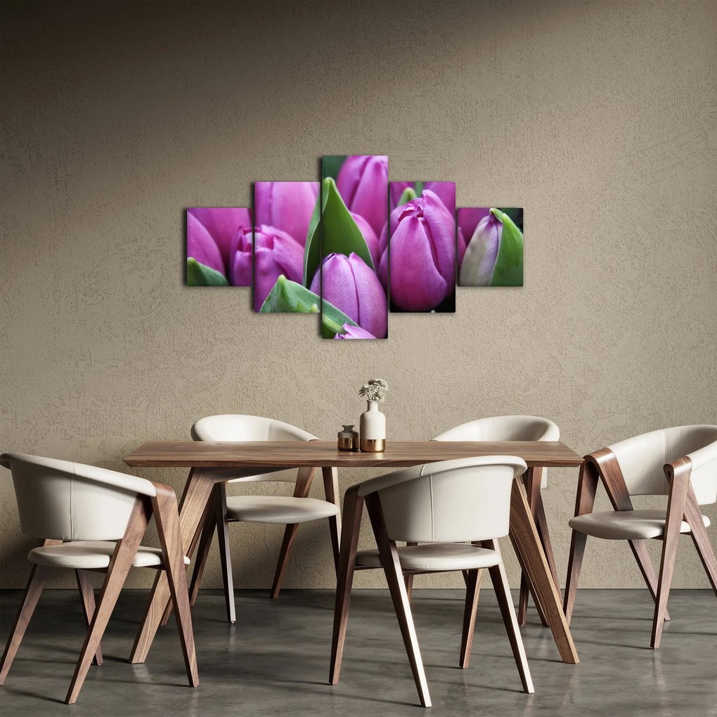 Obraz - kwiaty tulipanów (125x70 cm)
