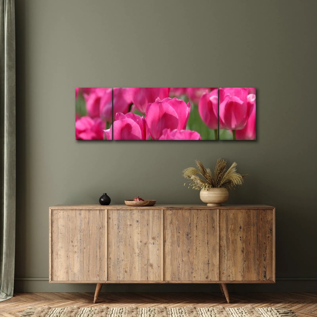 Obraz - Różowe tulipany (170x50 cm)