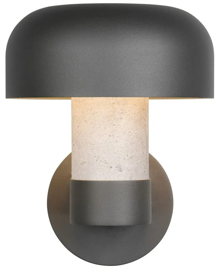 Zewnętrzna lampa ścienna (wysokość 24,5 cm) Fraser – Trio