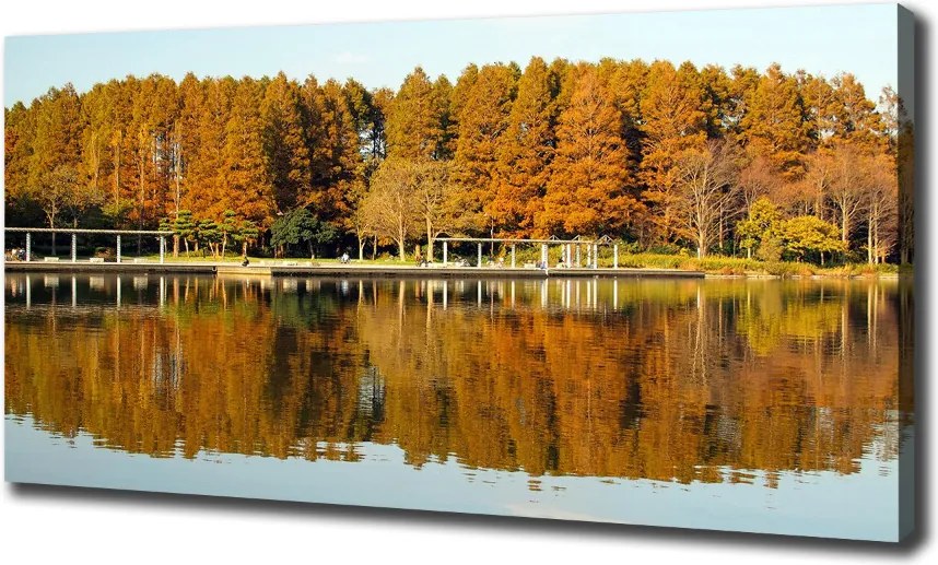 Foto obraz na płótnie Las nad jeziorem