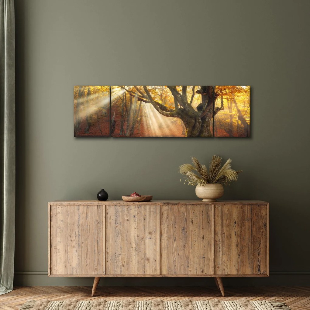 Obraz - Jesienny świt (170x50 cm)