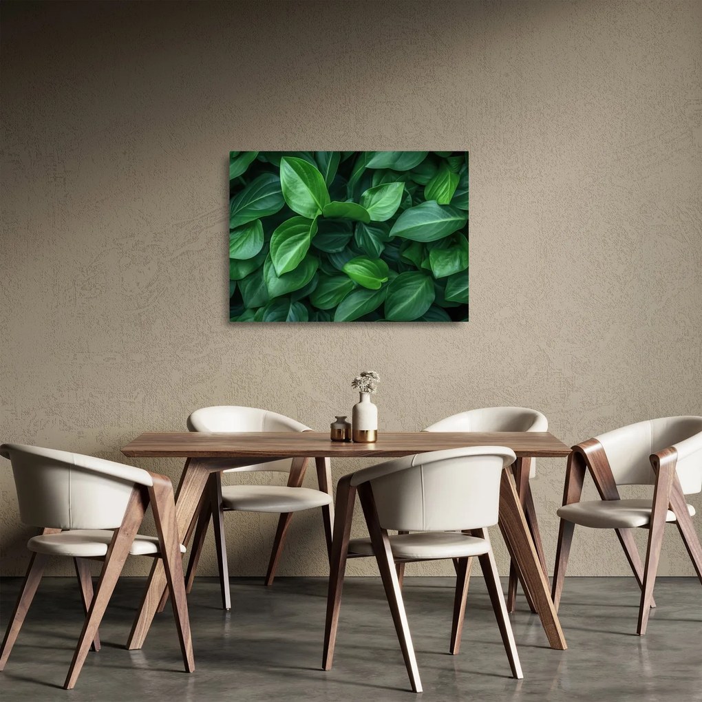 Obraz na szkle - Zielone liście (70x50 cm)