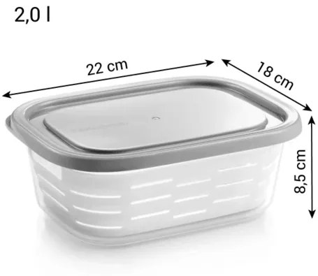 Tescoma Pojemnik do zamrażarki z koszem 4FOOD  2,0 l, 2 l