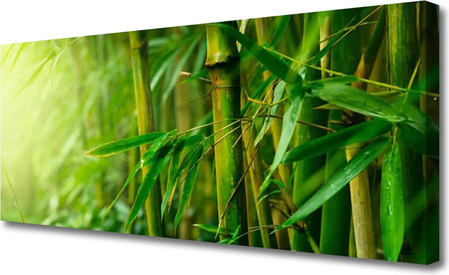 Obraz na płótnie Świeże Pędy Zielonego Bambusa