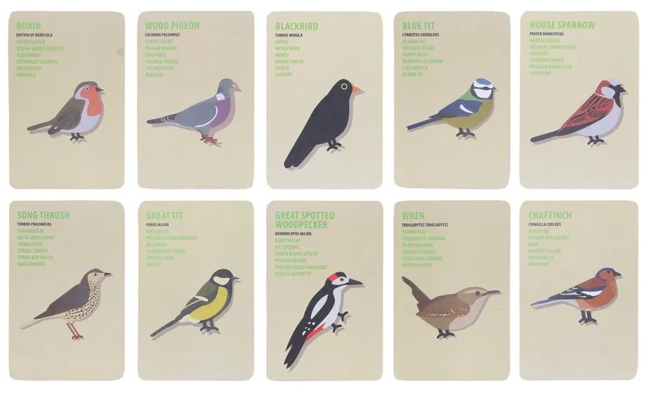 Gra zewnętrzna Explorer Bag: Birds – Esschert Design