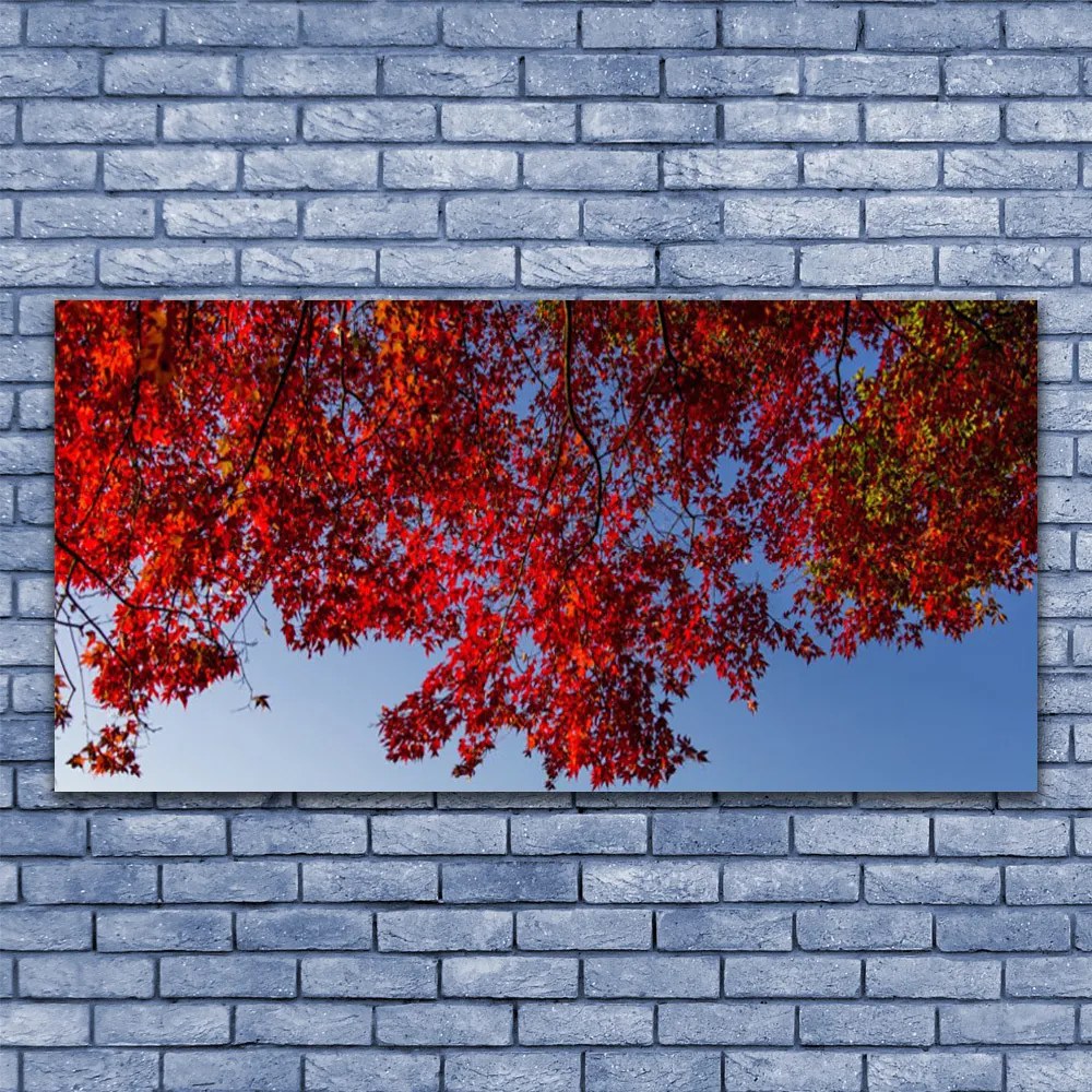 Obraz Canvas Drzewo Liście Gałęzie Natura