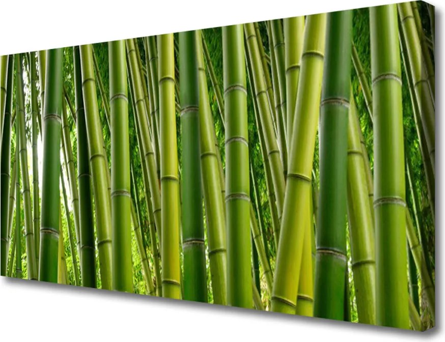 Obraz canvas Gęstwina Zielonego Bambusa