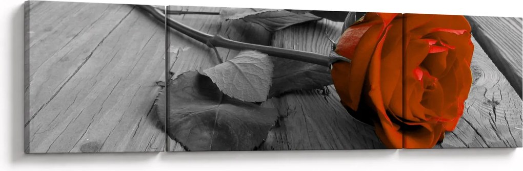 Obraz - Pomarańczowa róża (170x50 cm)