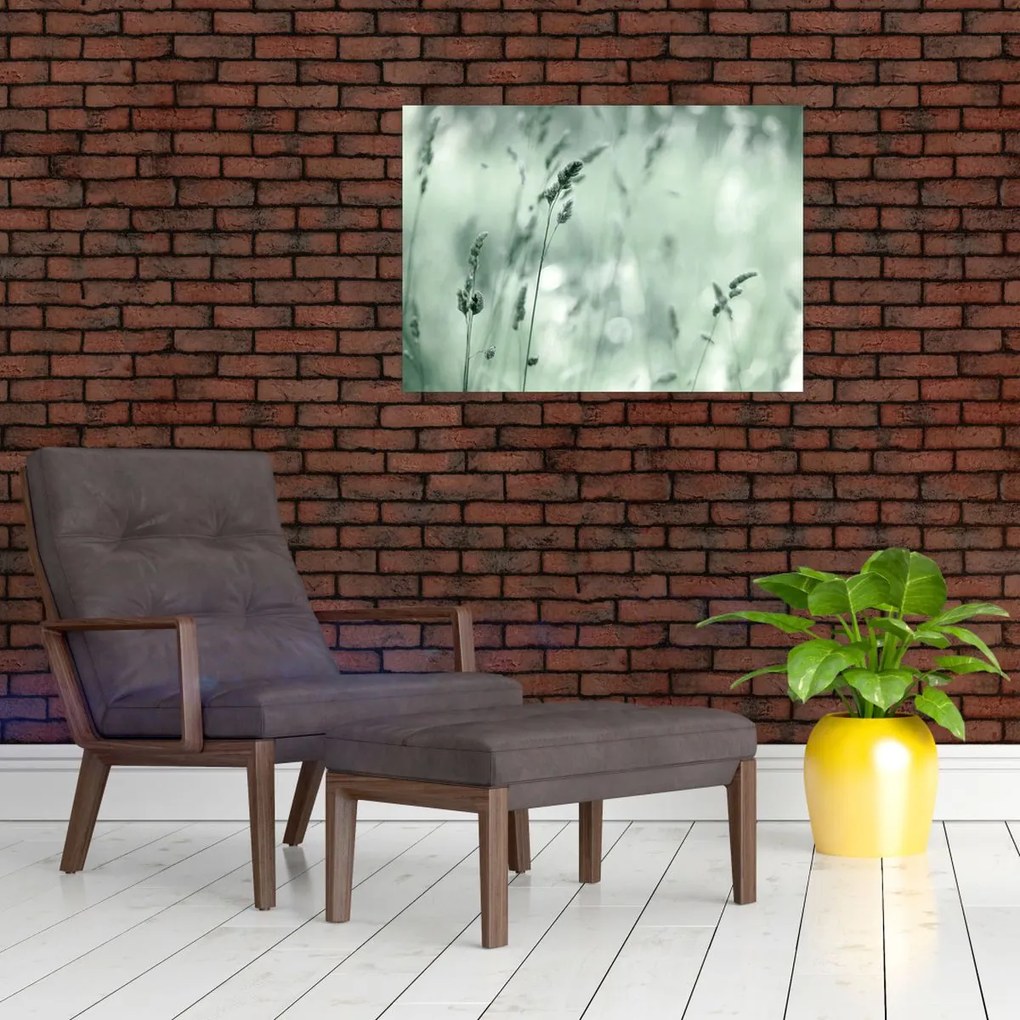 Obraz - Zielona łąka (70x50 cm)