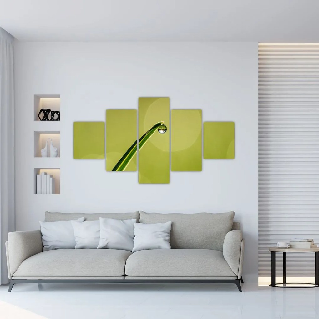 Obraz kropli wody na trawie (125x70 cm)