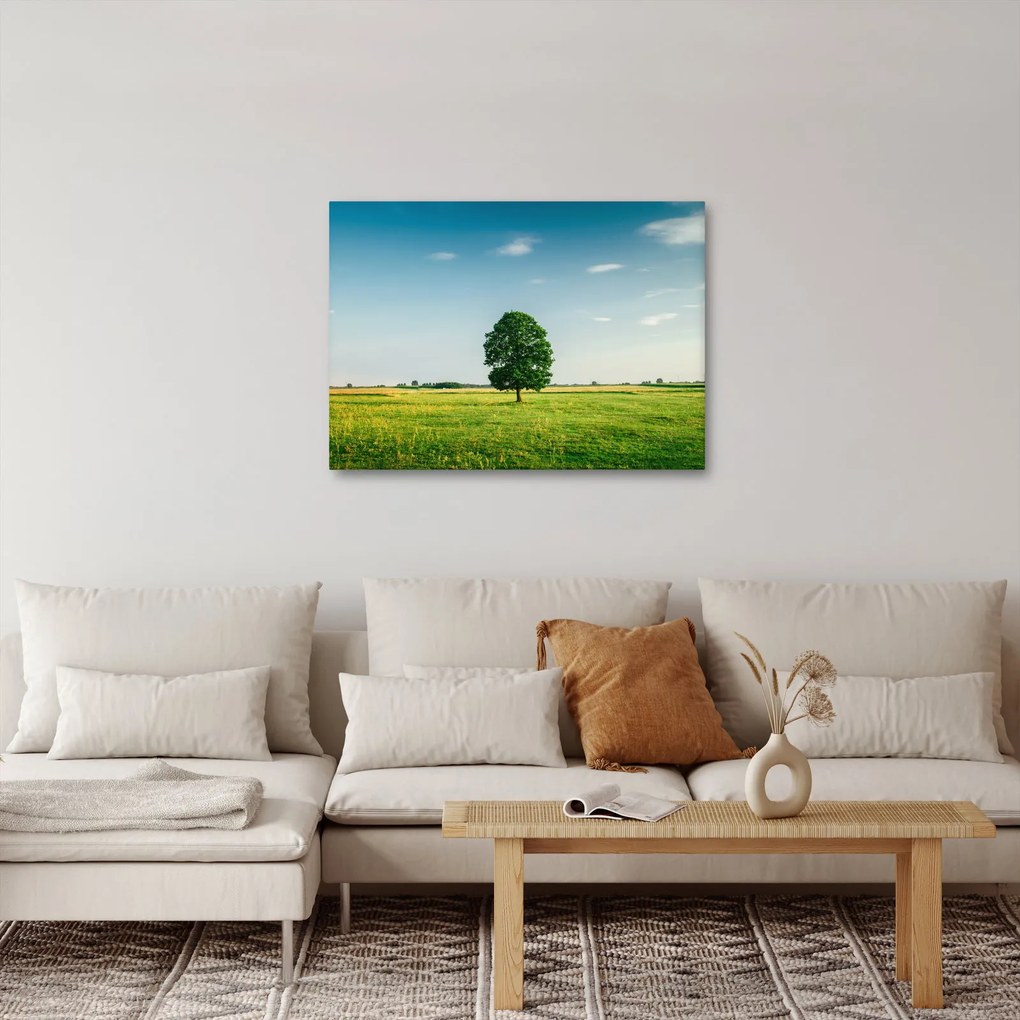 Obraz drzewa na łące (70x50 cm)