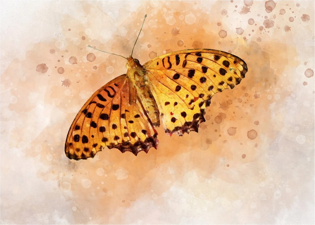 Obraz - Pomarańczowy motyl, akwarela (70x50 cm)