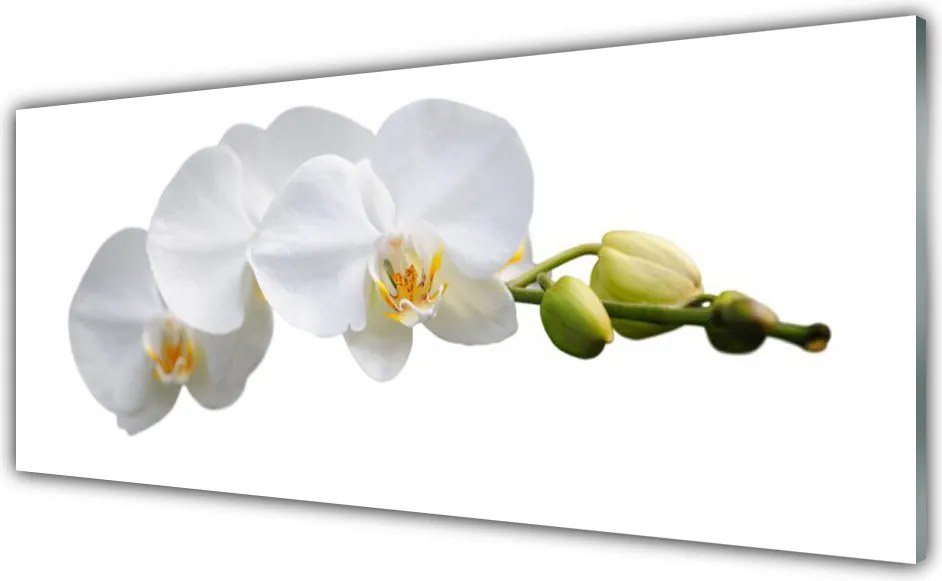 Szkło Ozdobne do Kuchni Dekoracyjny Bukiet Botaniczny