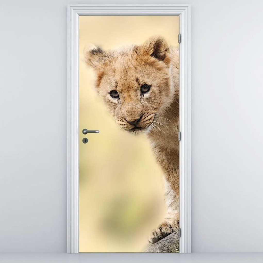 Fototapeta na drzwi - Lew (95x205cm)
