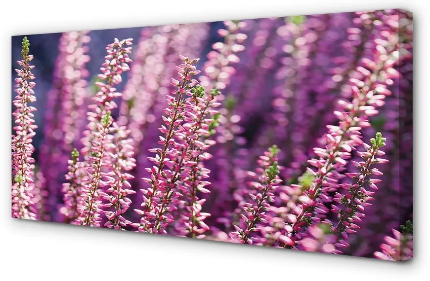 Duży obraz na płótnie Kwiaty