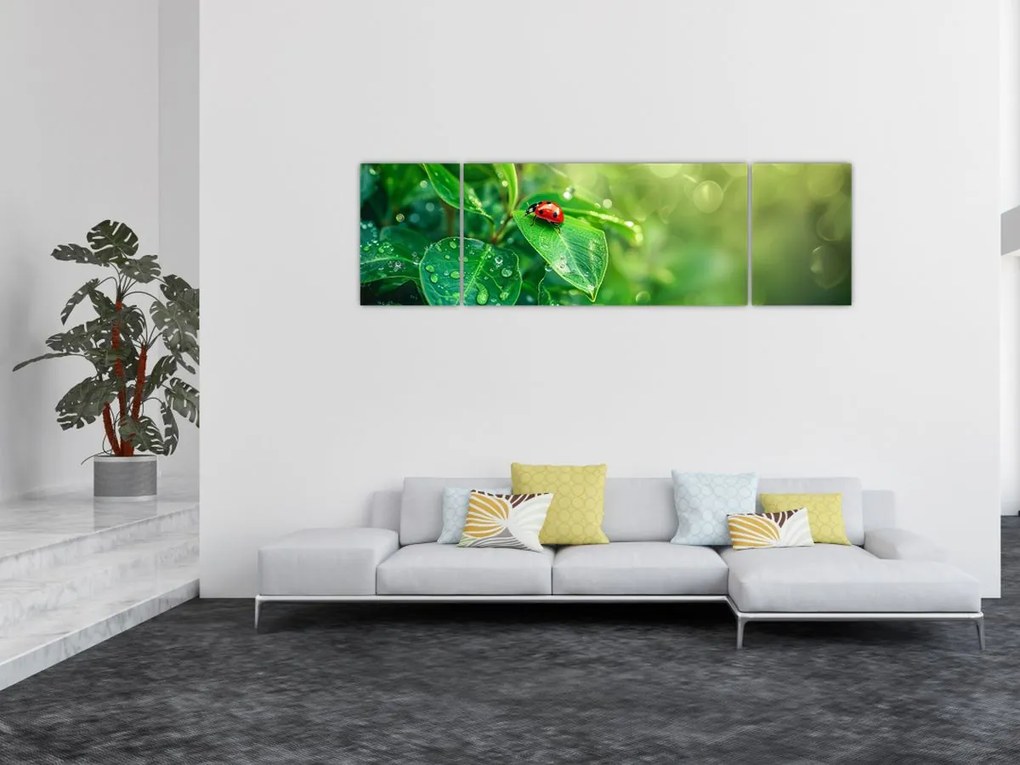 Obraz - Biedronka (170x50 cm)