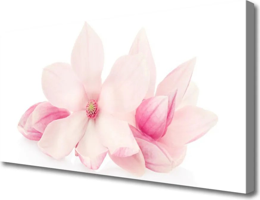 Obraz canvas Delikatne Płatki w Zbliżeniu
