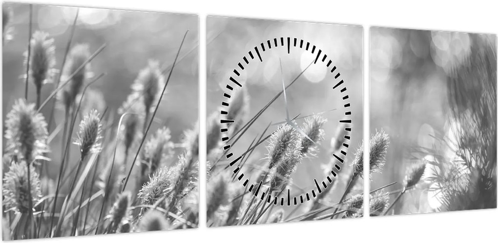 Obraz - Beżowa miękka trawa N⁰1 (z zegarem) (90x30 cm)