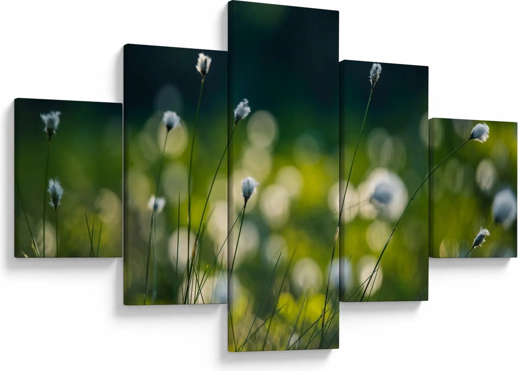 Obraz - Trawa (125x70 cm)