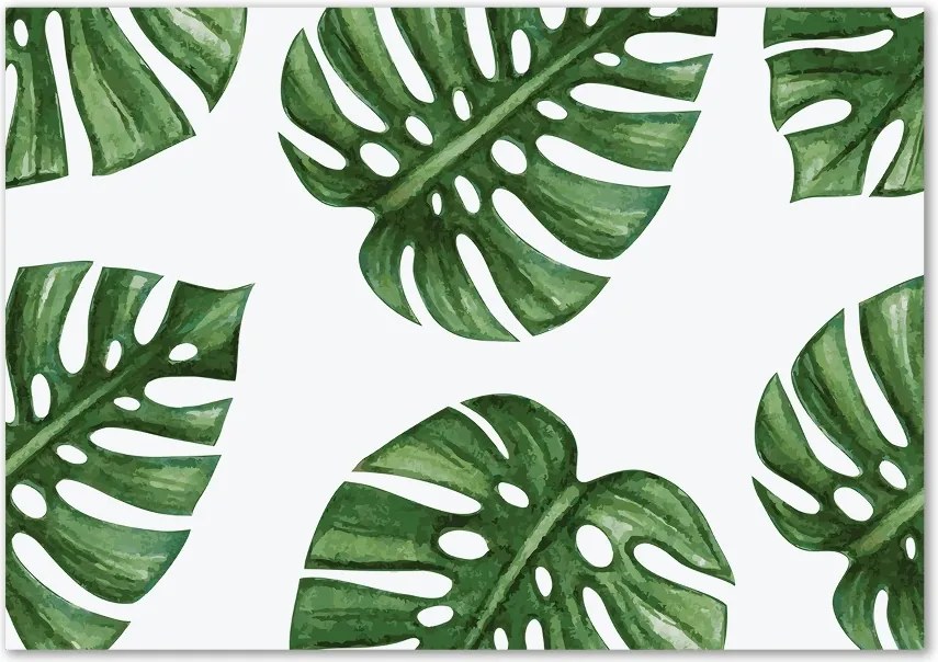 Foto obraz szkło hartowane Monstera