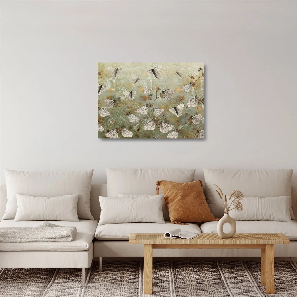 Obraz na szkle - Vintage motyle (70x50 cm)