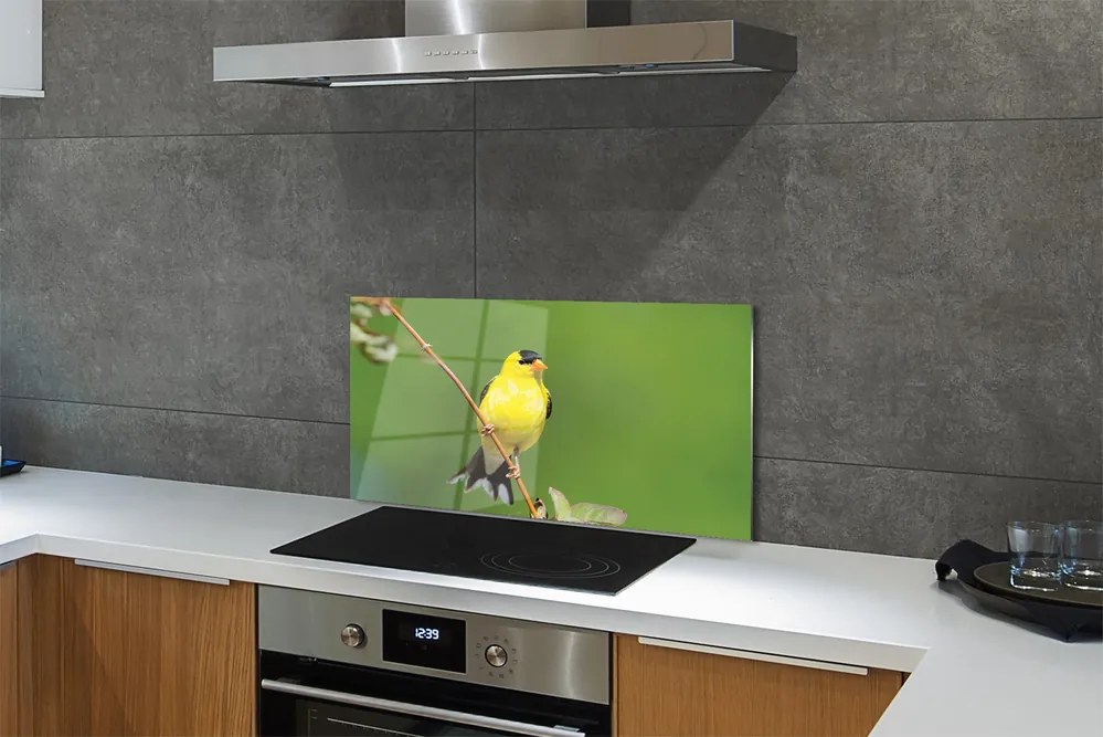 Panel Kuchenny Szklany Słoneczna Żółta Papuga