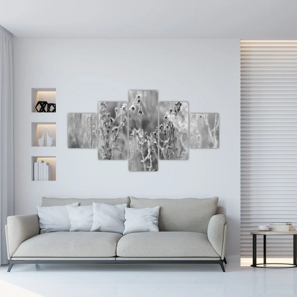 Obraz - Dzika łąka (125x70 cm)