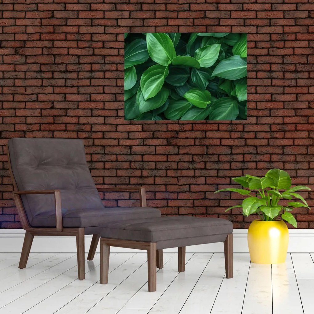 Obraz - Zielone liście (70x50 cm)
