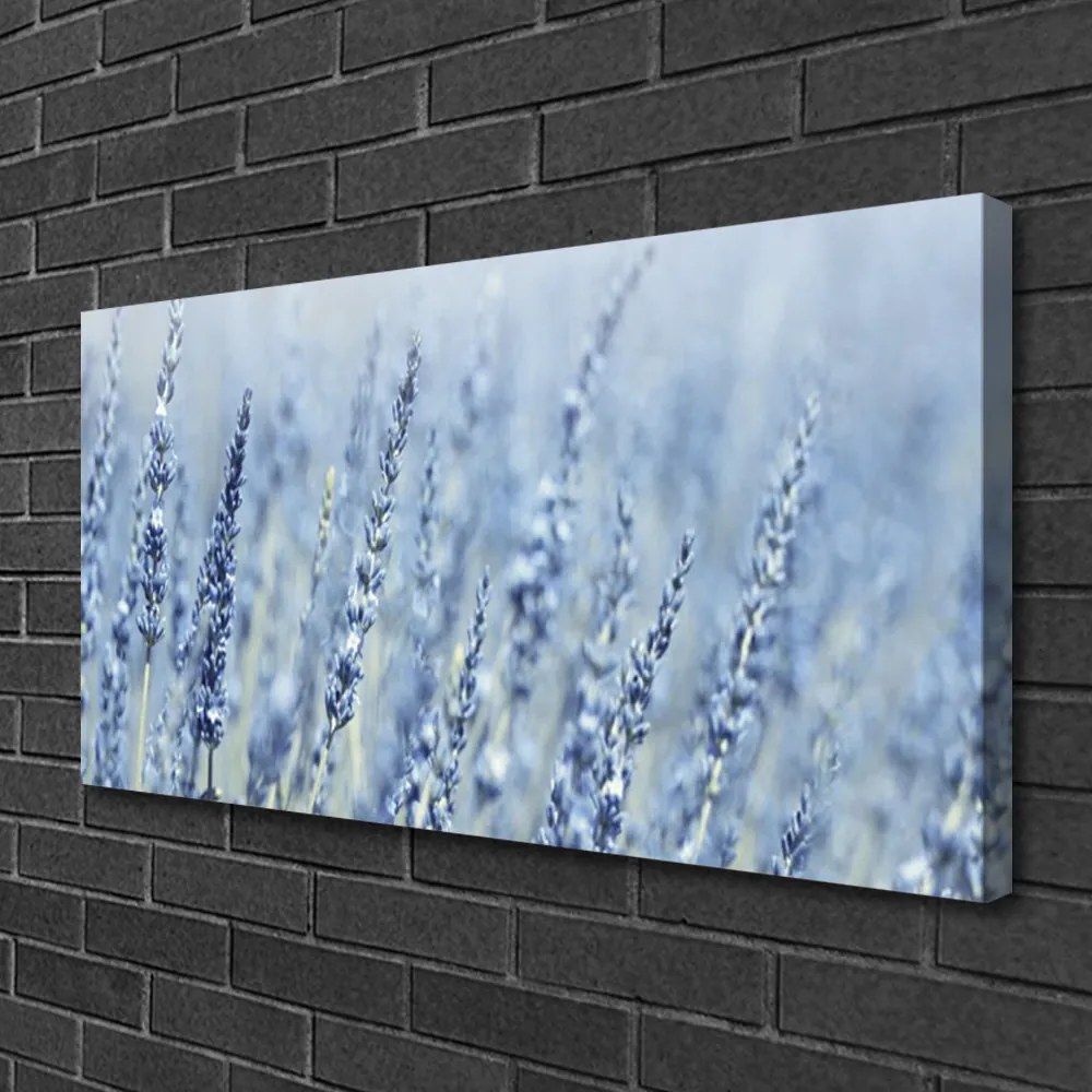 Obraz Canvas Kwiaty Kłosy Łąka Natura