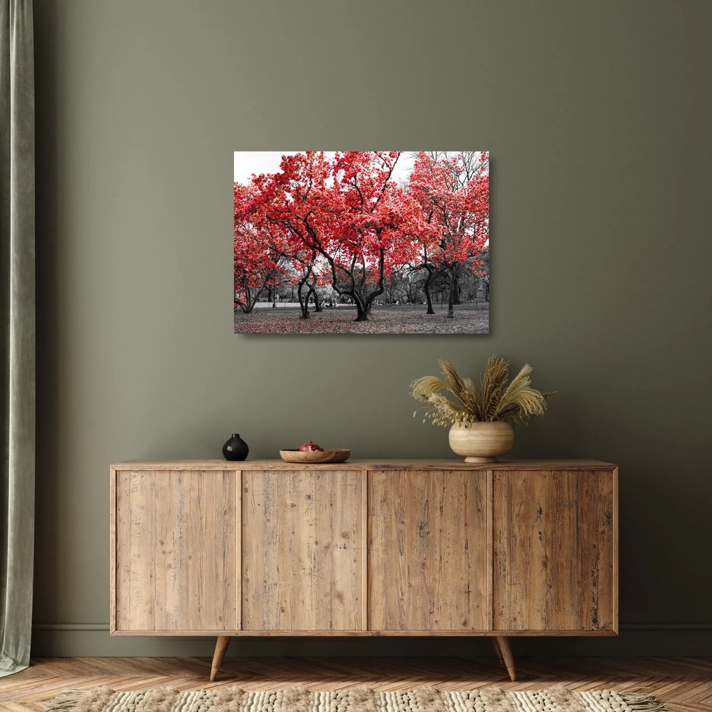 Obraz na szkle - Czerwone drzewa, Central Park, New York (70x50 cm)